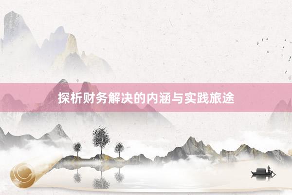 探析财务解决的内涵与实践旅途