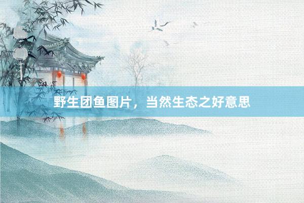 野生团鱼图片，当然生态之好意思